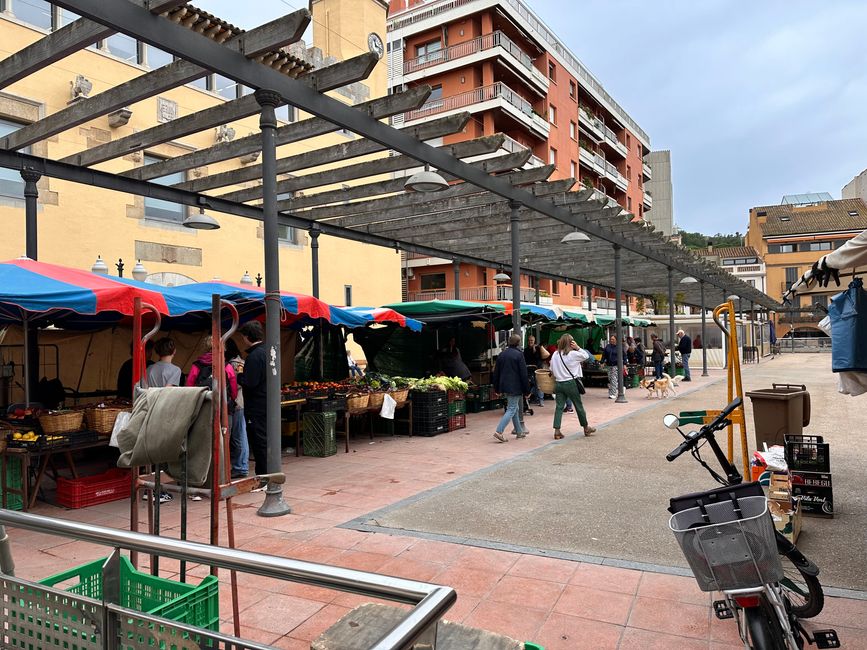 Sant Feliu de Guíxols 