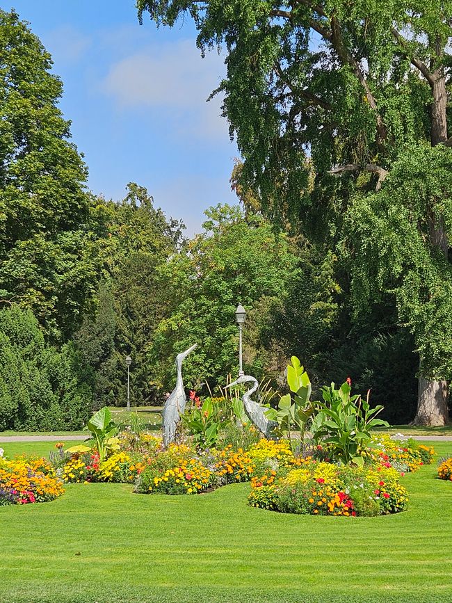 Parc de l'Orangerie 