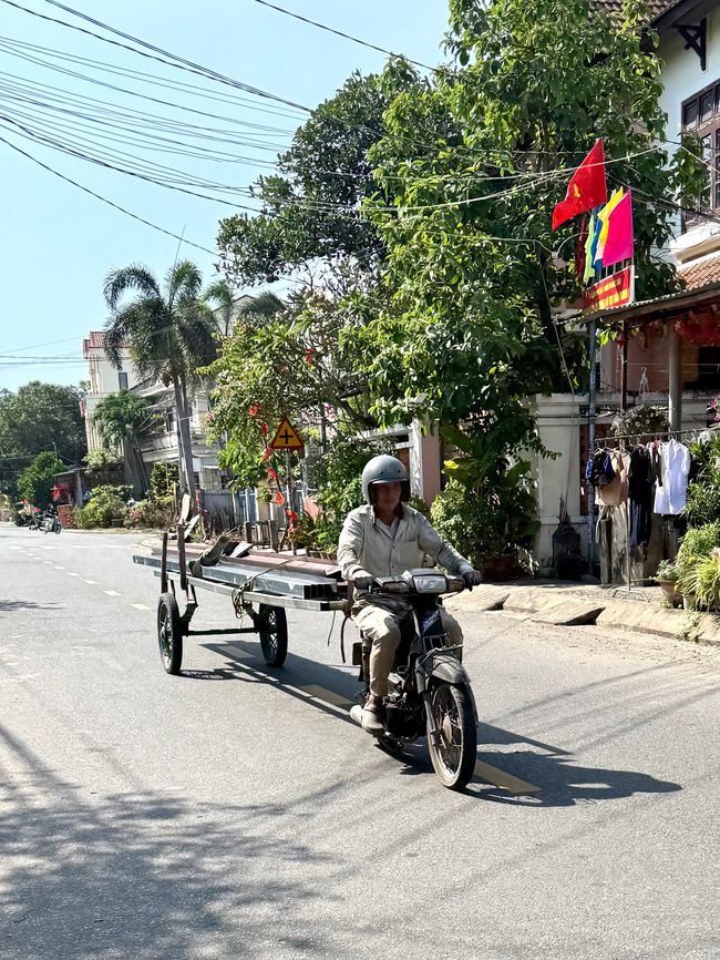 Schöne Hawaiiblume, etwas größer als die, die ich zu Hause habe