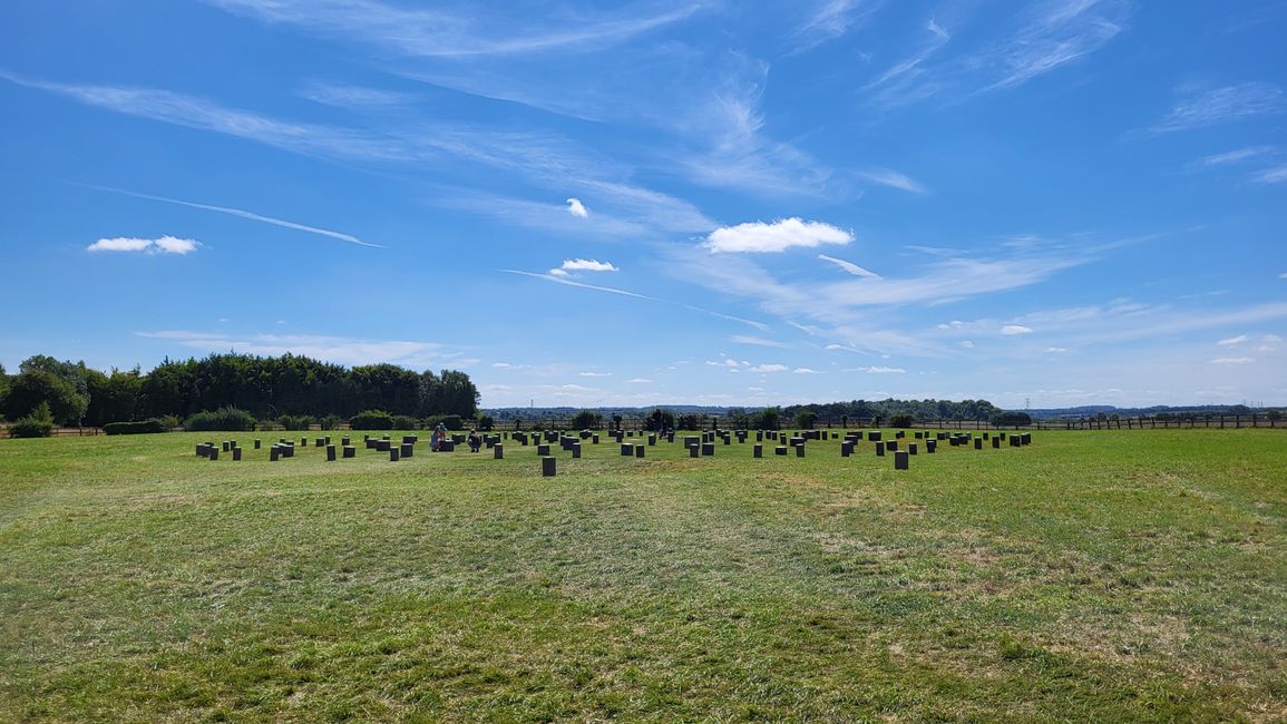 Woodhenge 