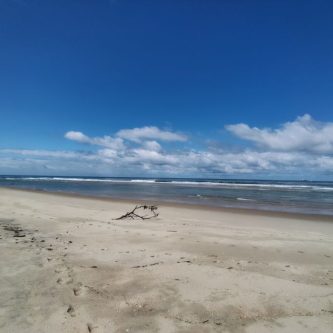 Aveiro -> Praia da Costa Nova