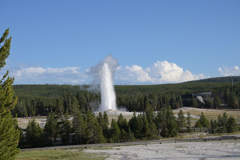 Bassin supérieur des geysers - Geyser Old Faithful à distance