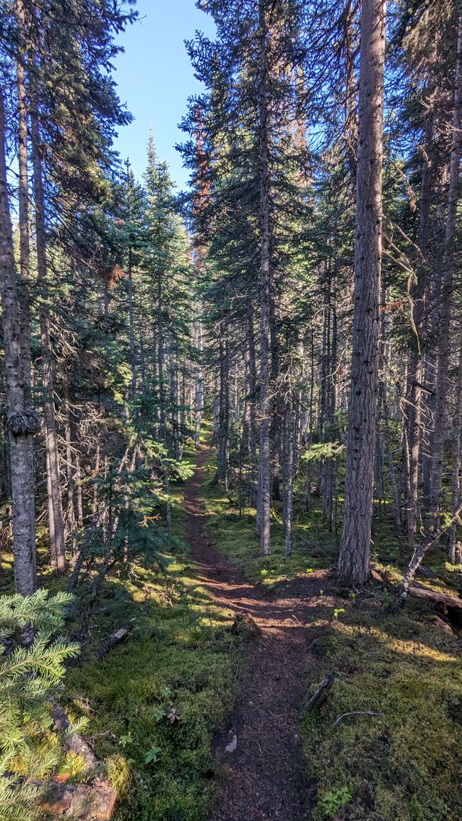 Upper Cascade Falls Trail