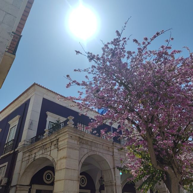 Setúbal