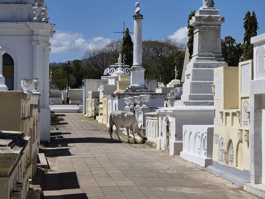 Cementerio De Granada