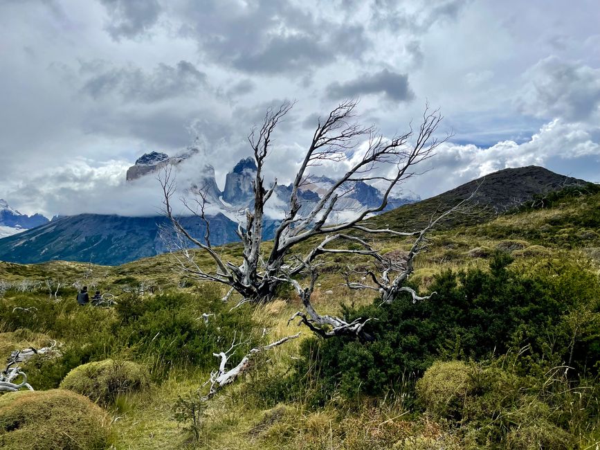 Torres del Paine