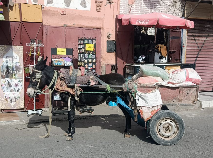 Marrakesch - im Fluss der Stadt