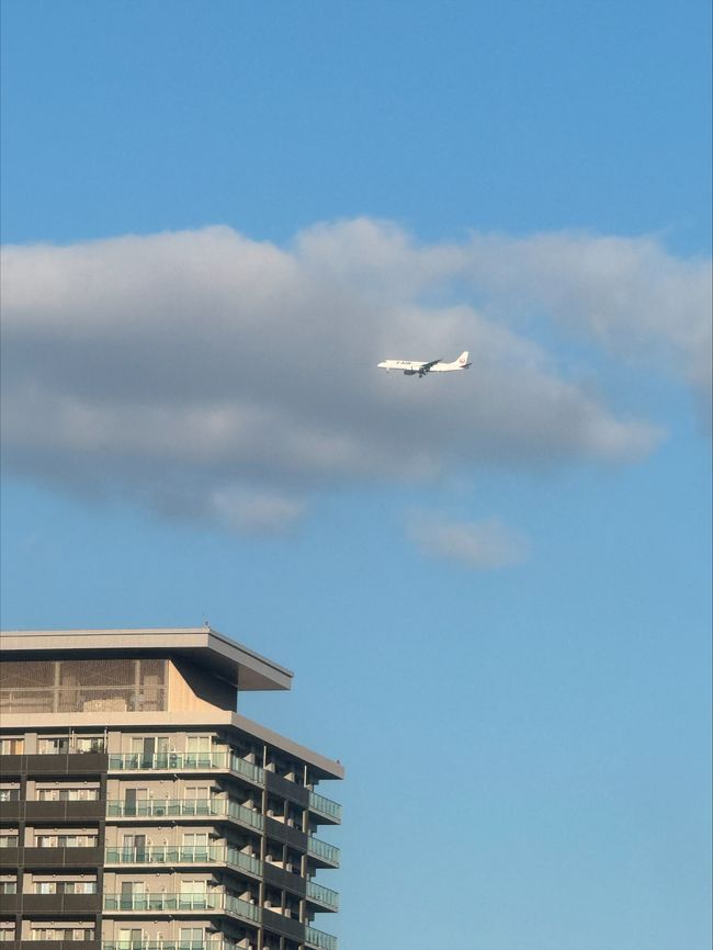 eye in eye with airplanes