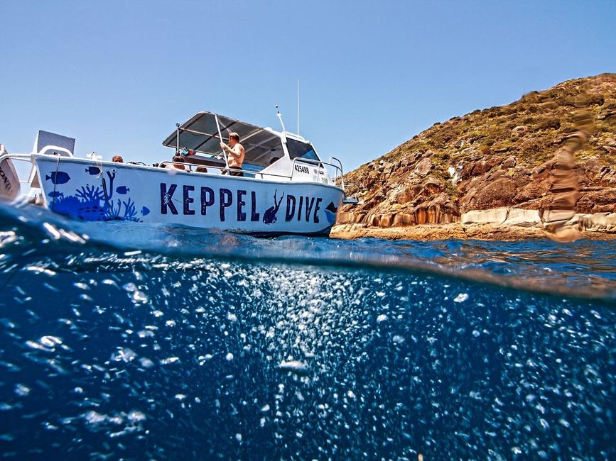 Keppel Dive