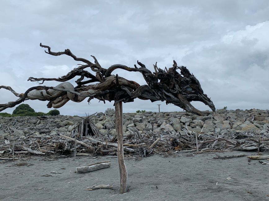 13_LONDONDARRY ROCK AND HOKITIKA