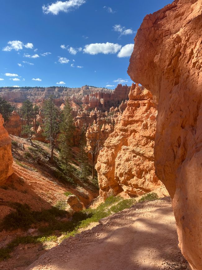 Tierra de Cañones: Zion y el Cañón de Bryce❤️