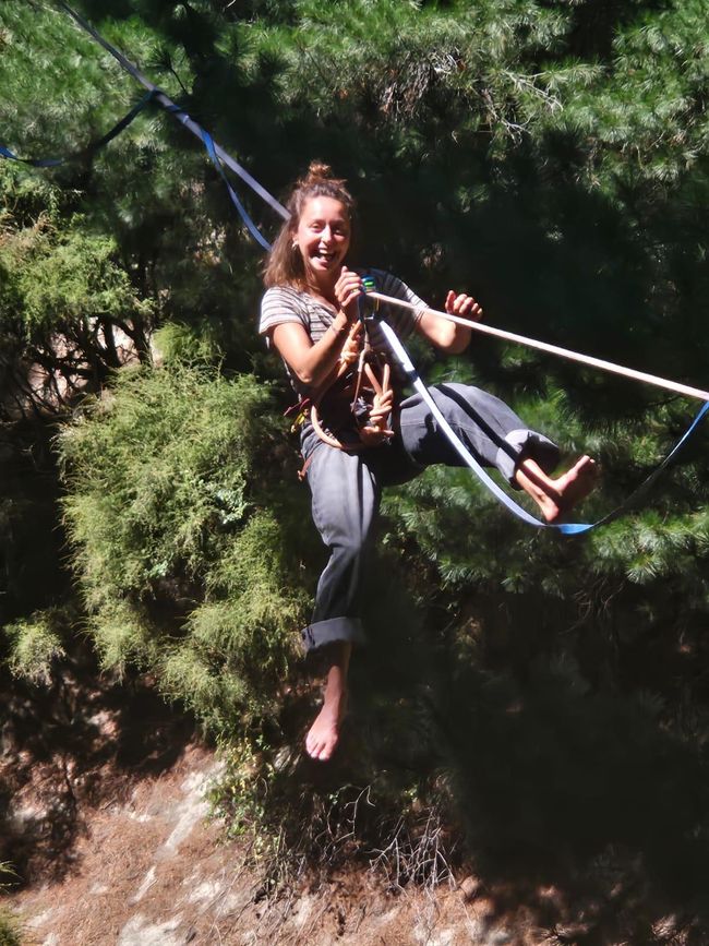 Vu en pleine forêt nana un poil casse-cou