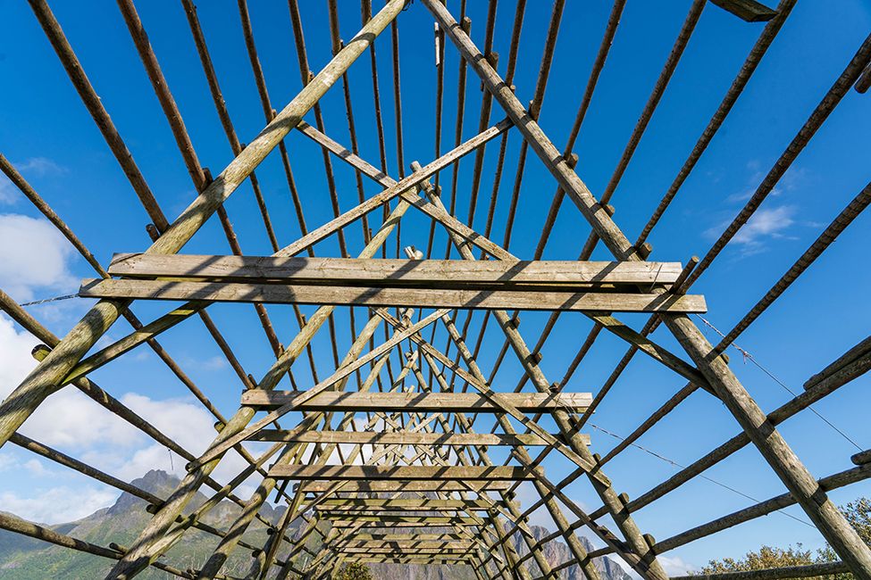 Einmal Lofoten und zurück