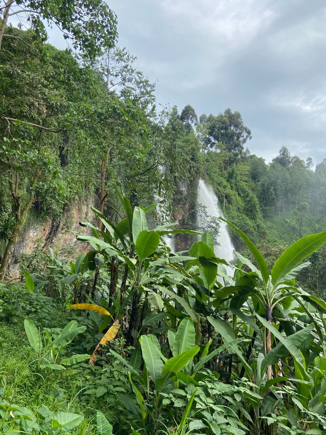 Rock Garden and Waterfalls