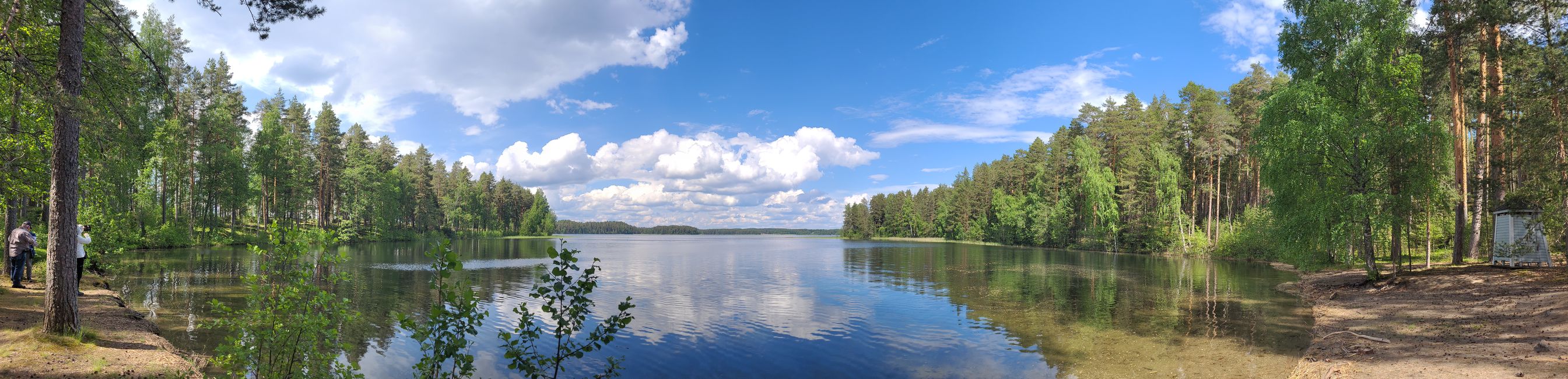 Finlandia 31 de mayo - 14 de junio de 2024 / 8 de junio