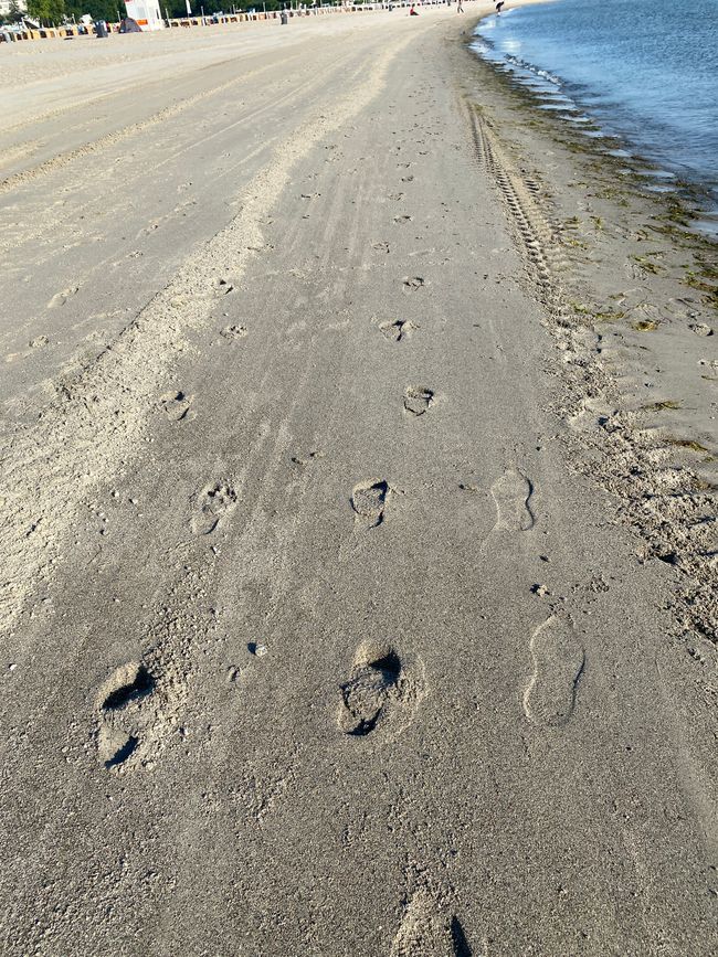 Wie soll ich bei dem aufgeräumten Strand etwas finden?