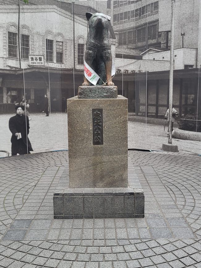 Hachikō - in Japan ein Inbegriff für Tre
