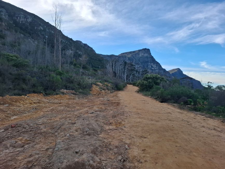 Sendero Constantia y bosque de Newlands