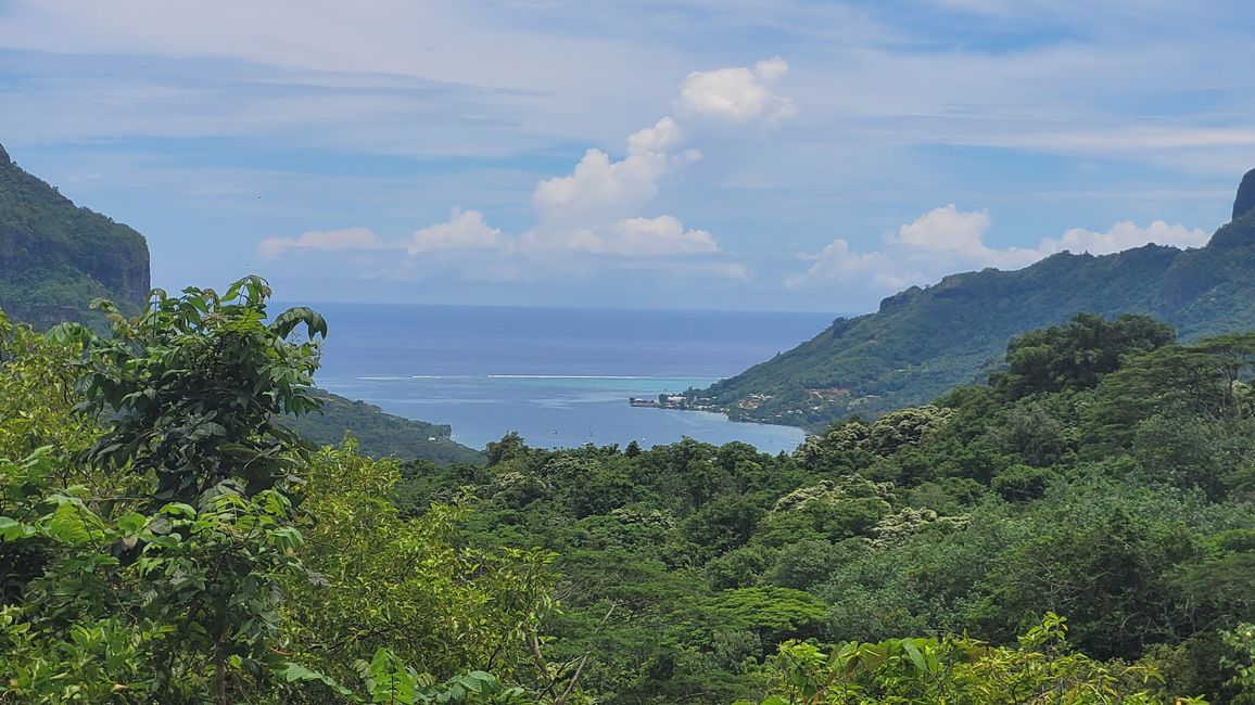 Mo’orea – impresionantes cumbres montañosas nos reciben