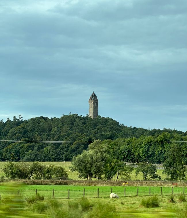 Stirling, National Heroes and 'Son of a bitch'