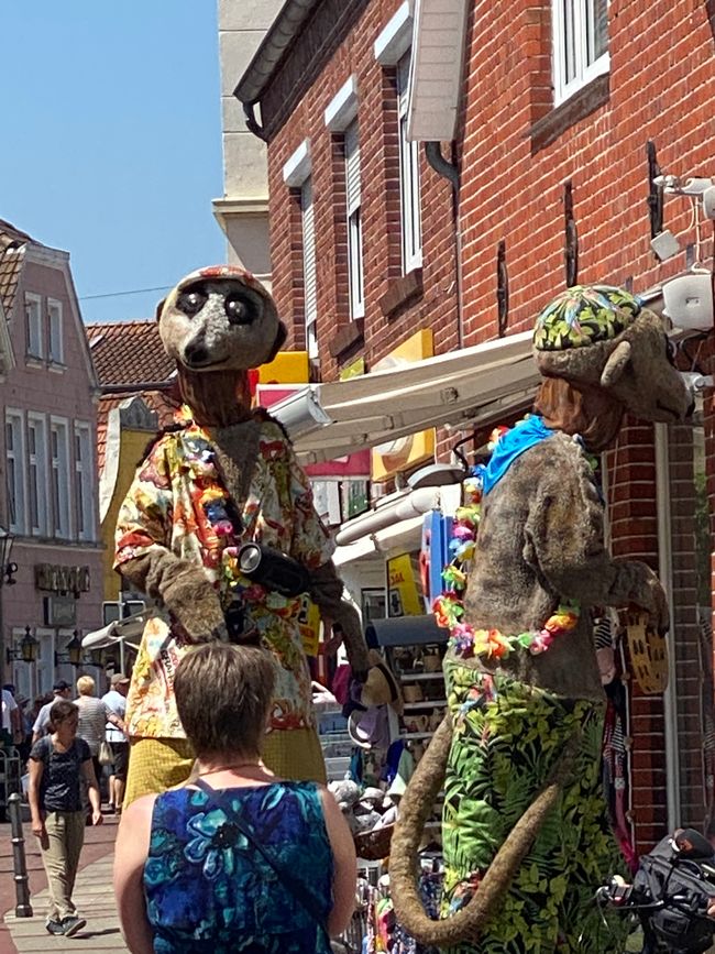 Erdmännchen auf Stelzen