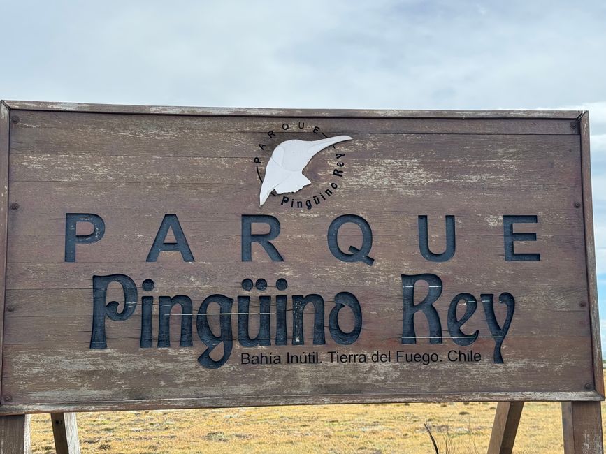 Punta Arenas