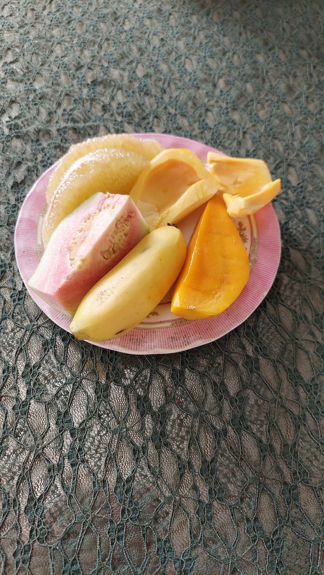 Wir probieren frische Früchte