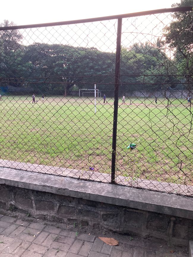 Piscina en la sociedad