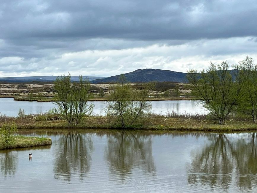 Laugarvatn Cave und Pingvellir