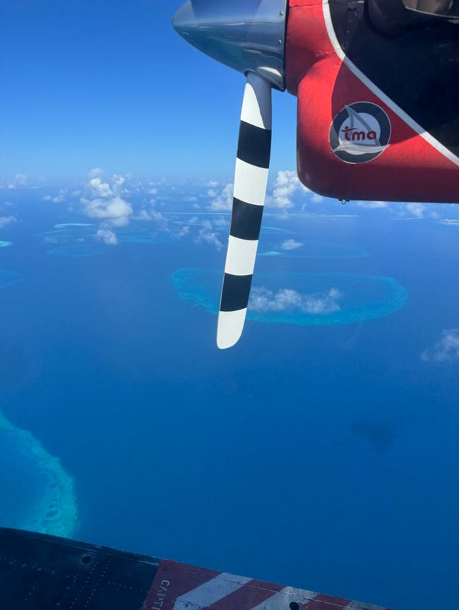 10 Días en Thundufushi - Un Viaje a Través de Aguas Azules, Jardines de Coral y Momentos de Quietud