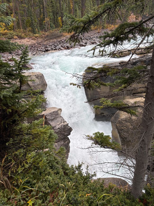 Tag 12 - 🏔️ Wasserfälle, Wetterkapriolen & Wellness – ein (fast) perfekter Tag in Jasper