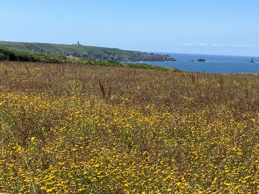 Blick zum Pointe du Mathieu 