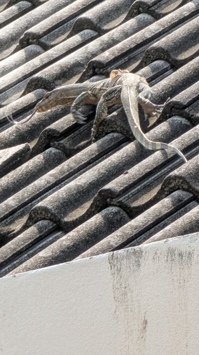 Wir haben die Sonne wiedergesehen.