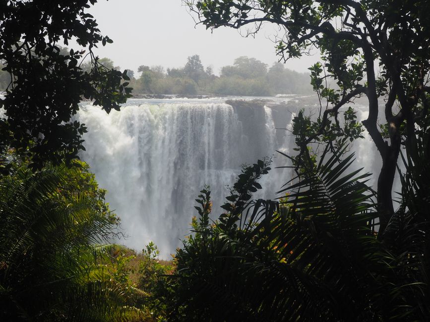 Botswana-Sudáfrica-Zambia y de regreso