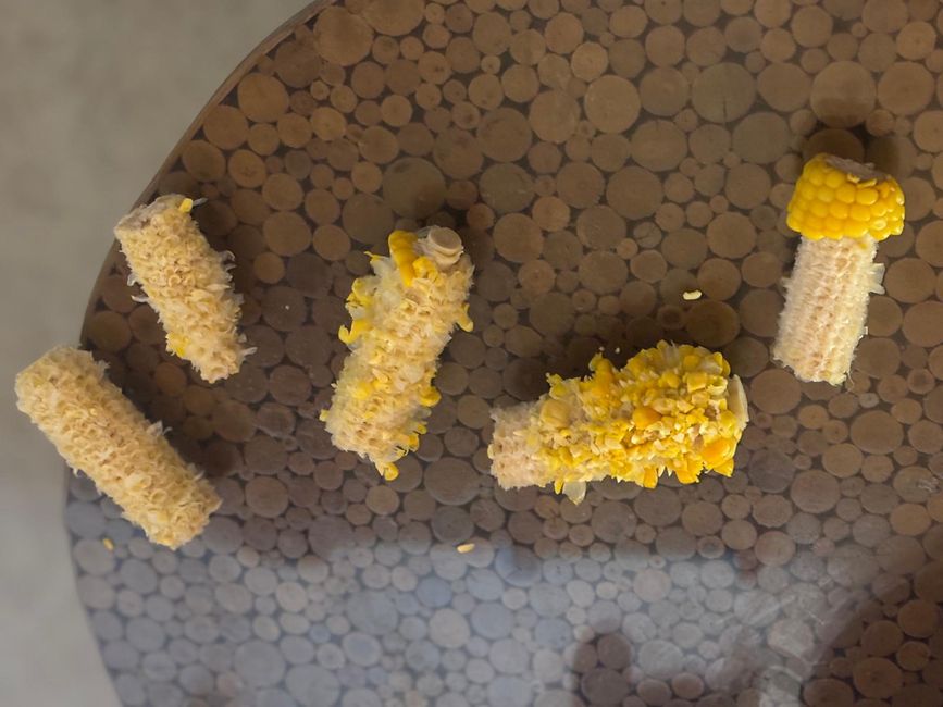 Woche 17: Im Meer, Bam Bam, heißer Mais/ Gastkolumne