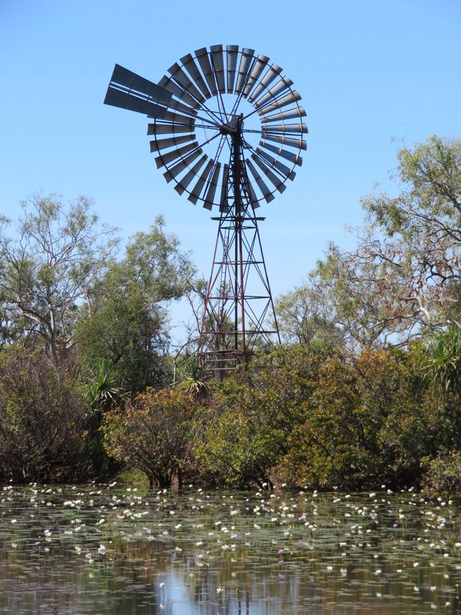 Aerogenerador detrás de la estación de guardabosques junto al Cockatoo Billabong 
