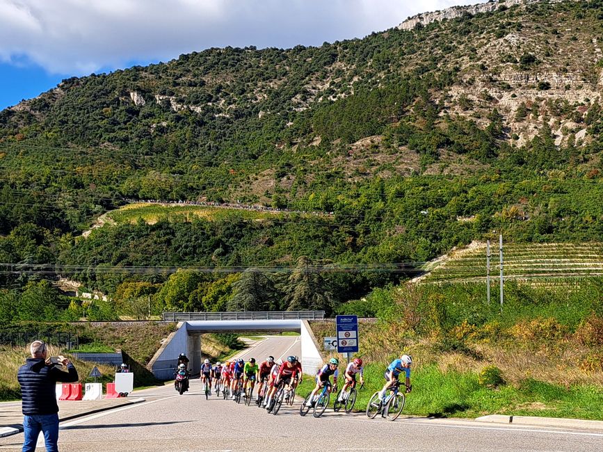 Europameisterschaft im Radrennen