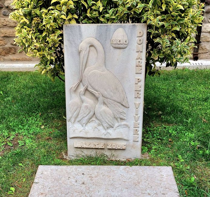 Lazise