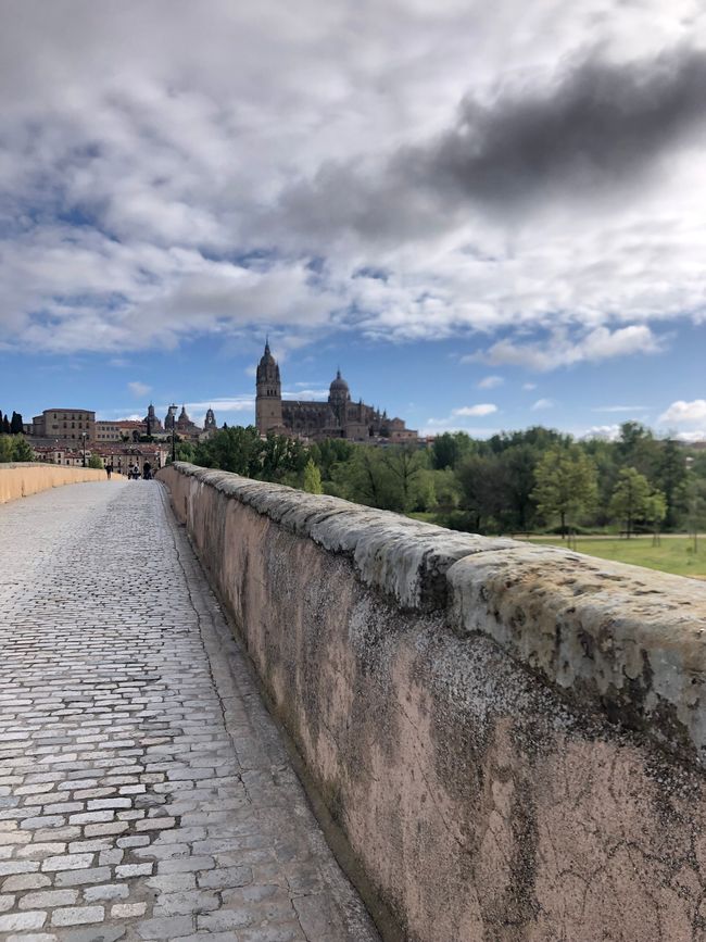 Blick zurück auf Salamanca