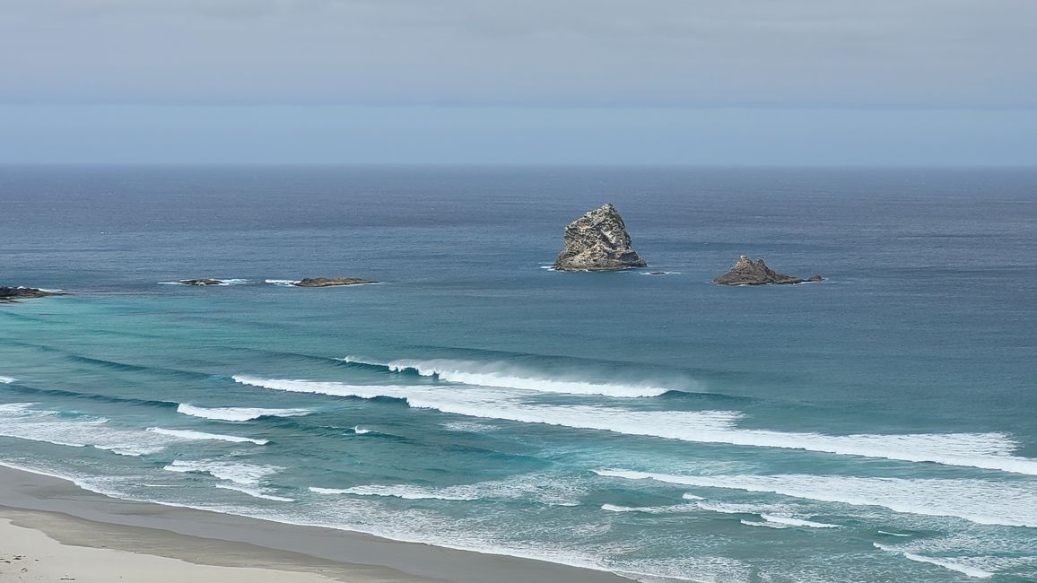 29.Januar -27.Februar 2025 Neuseeland
7.Februar