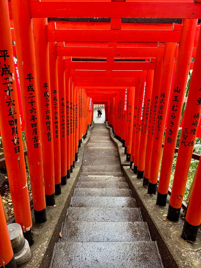 Parte 7
BENVENUTO IN GIAPPONE 🇯🇵
TOKYO