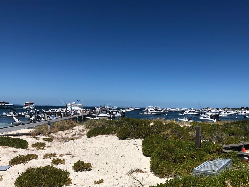 Thomson Bay