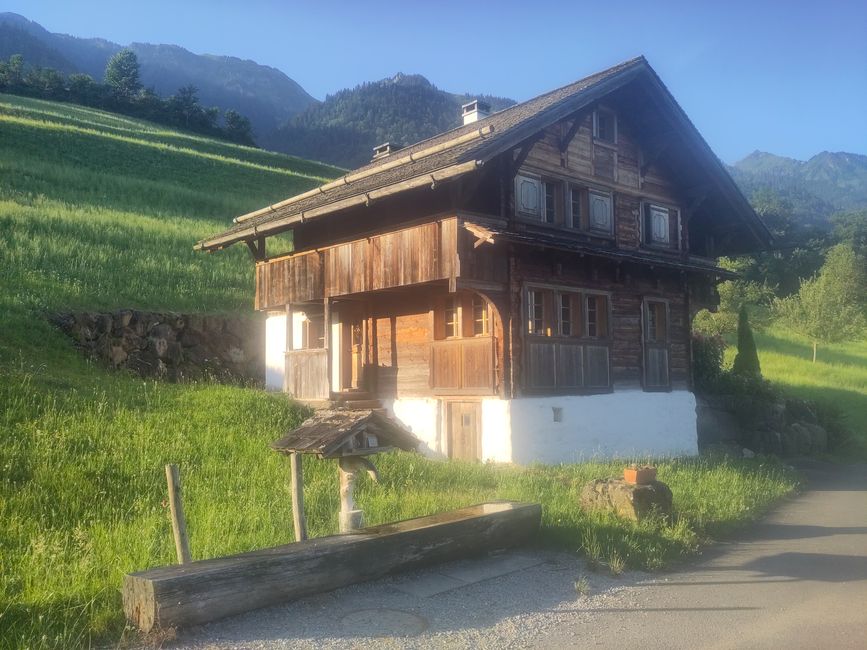Frühlicht verzaubert alles...