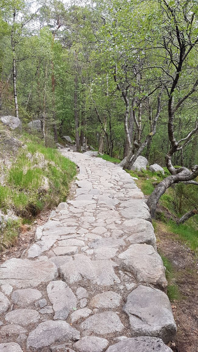 auf zum Preikestolen