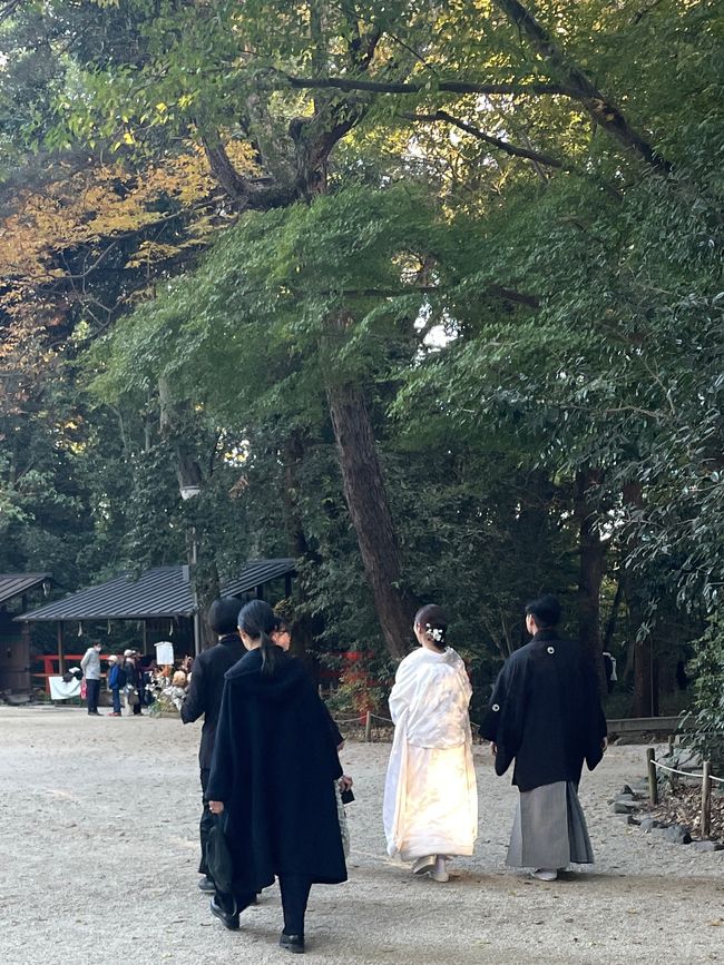 22.Kapitel: Niinamatsuri, ein Sonntag in Kyoto