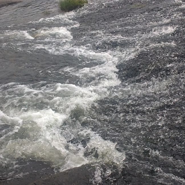 Fotos vom Flussstrand von Puente del Congosto (Salamanca) (Juli 2021)