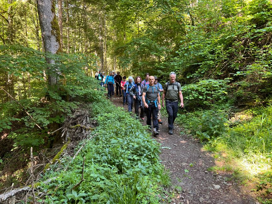 28 Wutachschlucht Pro Wolermoos
