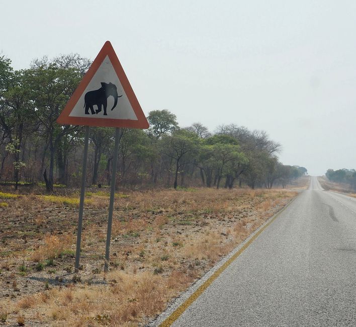 Chillen am Chobe River-Zwischenstopp auf dem Weg nach Botswana