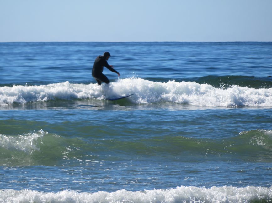 Tofino