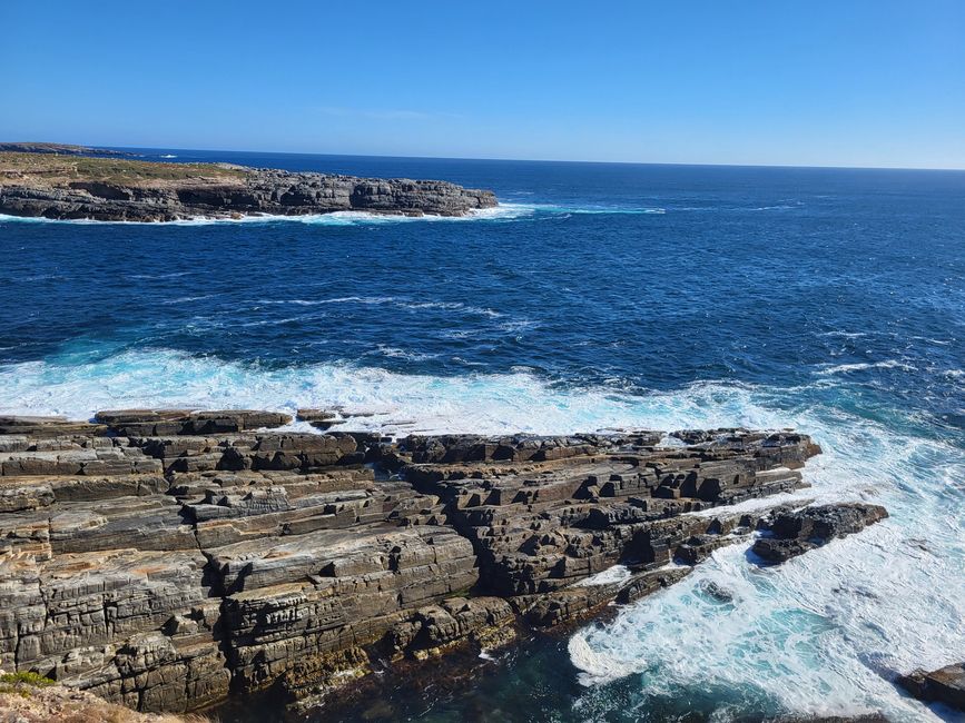 Kangaroo Island with Baby M.